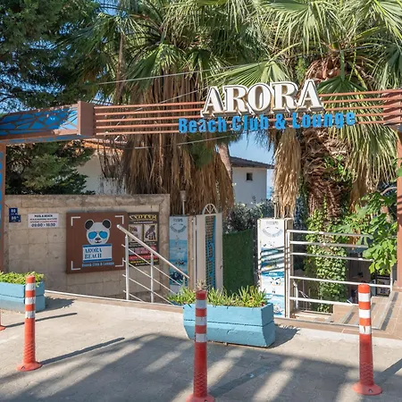 Arora 4*