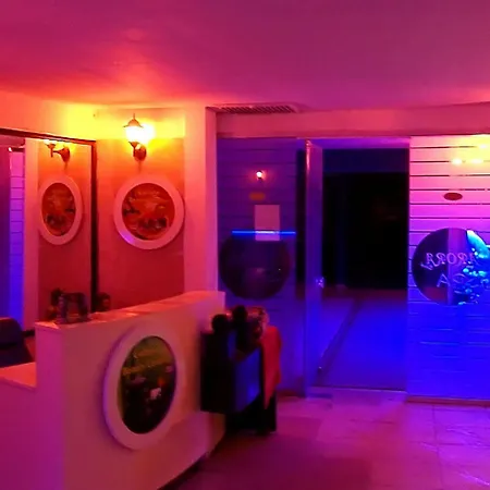 Otel Arora 4*