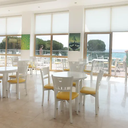 阿罗拉酒店 酒店