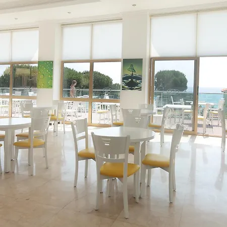 阿罗拉酒店 酒店