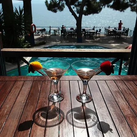 酒店 阿罗拉酒店 4*