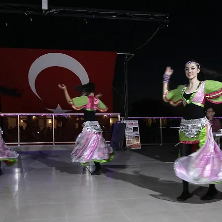 阿罗拉酒店 酒店 4*